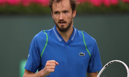 Davidovich cae ante un Medvedev que asusta